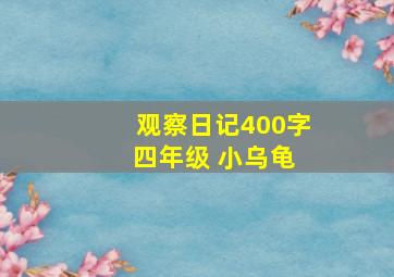 观察日记400字 四年级 小乌龟